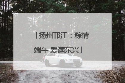 扬州邗江：粽情端午 爱满东兴