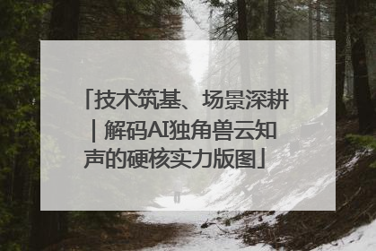 技术筑基、场景深耕｜解码AI独角兽云知声的硬核实力版图
