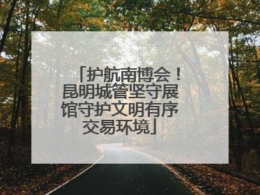 护航南博会！昆明城管坚守展馆守护文明有序交易环境