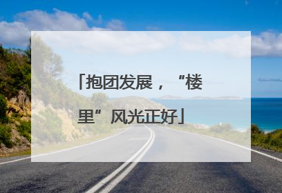抱团发展，“楼里”风光正好