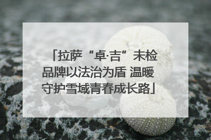 拉萨“卓·吉”未检品牌以法治为盾 温暖守护雪域青春成长路