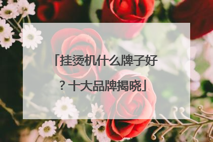 挂烫机什么牌子好？十大品牌揭晓