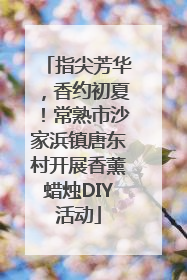 指尖芳华，香约初夏！常熟市沙家浜镇唐东村开展香薰蜡烛DIY活动