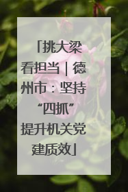 挑大梁 看担当｜德州市：坚持“四抓” 提升机关党建质效
