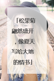 松果菊翩然盛开，像夏天写给大地的情书
