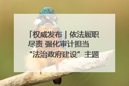 权威发布｜依法履职尽责 强化审计担当 “法治政府建设”主题系列新闻发布会市审计局专场召开