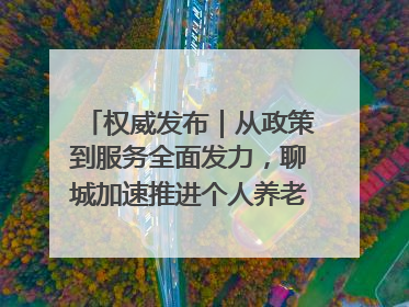 权威发布｜从政策到服务全面发力，聊城加速推进个人养老金制度落地