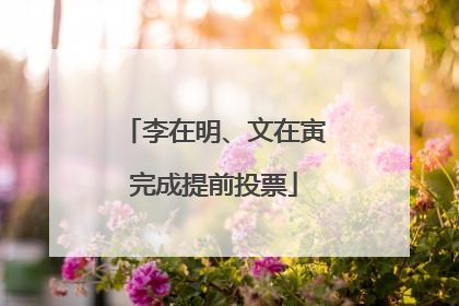 李在明、文在寅完成提前投票