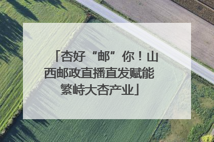 杏好“邮”你！山西邮政直播直发赋能繁峙大杏产业