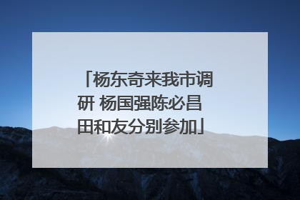 杨东奇来我市调研 杨国强陈必昌田和友分别参加