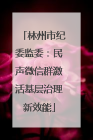 林州市纪委监委：民声微信群激活基层治理新效能