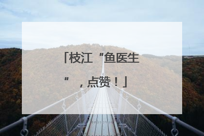 枝江“鱼医生”，点赞！