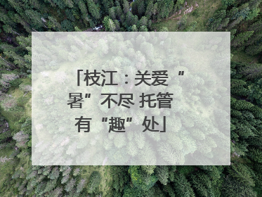枝江：关爱“暑”不尽 托管有“趣”处