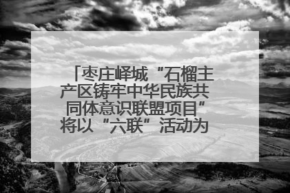 枣庄峄城“石榴主产区铸牢中华民族共同体意识联盟项目”将以“六联”活动为抓手深化品牌建设