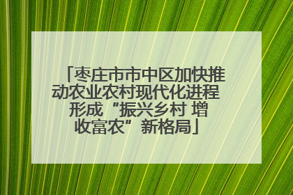 枣庄市市中区加快推动农业农村现代化进程 形成“振兴乡村 增收富农”新格局