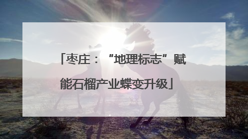 枣庄：“地理标志”赋能石榴产业蝶变升级