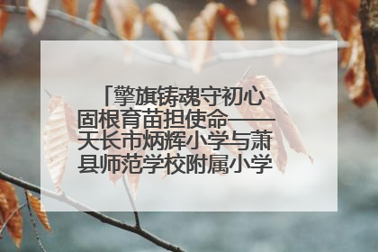 擎旗铸魂守初心 固根育苗担使命——天长市炳辉小学与萧县师范学校附属小学结对共建活动纪实