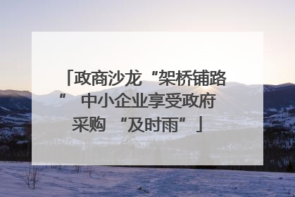 政商沙龙“架桥铺路” 中小企业享受政府采购 “及时雨”