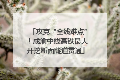 攻克“全线难点”！成渝中线高铁最大开挖断面隧道贯通