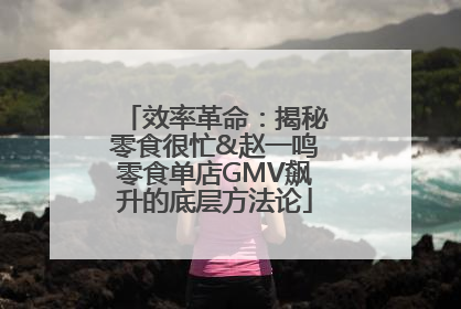 效率革命：揭秘零食很忙&赵一鸣零食单店GMV飙升的底层方法论
