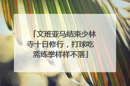 文班亚马结束少林寺十日修行，打球吃斋练拳样样不落