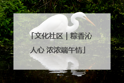 文化社区｜粽香沁人心 浓浓端午情