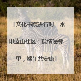 文化书院进行时｜水印蓝山社区：粽情暖邻里，端午共安康