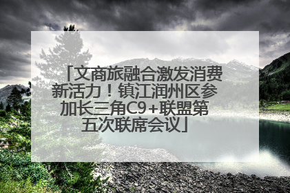 文商旅融合激发消费新活力！镇江润州区参加长三角C9+联盟第五次联席会议