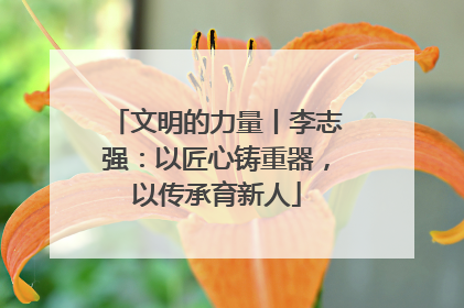 文明的力量丨李志强：以匠心铸重器，以传承育新人