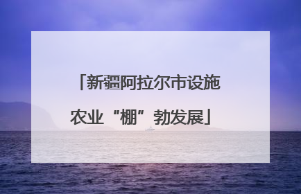 新疆阿拉尔市设施农业“棚”勃发展