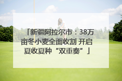新疆阿拉尔市：38万亩冬小麦全面收割 开启夏收夏种“双重奏”