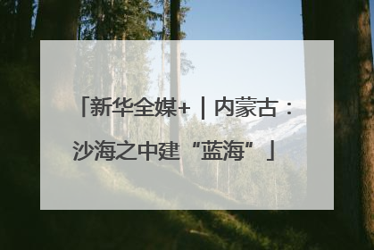 新华全媒+｜内蒙古：沙海之中建“蓝海”