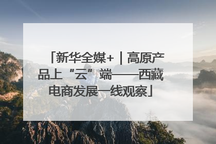 新华全媒+｜高原产品上“云”端——西藏电商发展一线观察