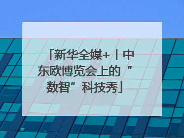 新华全媒+丨中东欧博览会上的“数智”科技秀