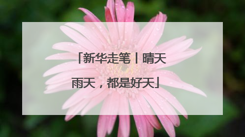 新华走笔丨晴天雨天，都是好天