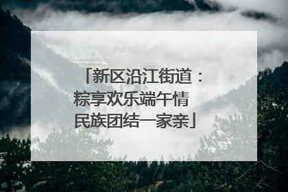 新区沿江街道：粽享欢乐端午情 民族团结一家亲