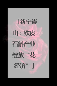 新宁崀山：铁皮石斛产业绽放“花经济”