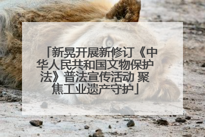 新晃开展新修订《中华人民共和国文物保护法》普法宣传活动 聚焦工业遗产守护