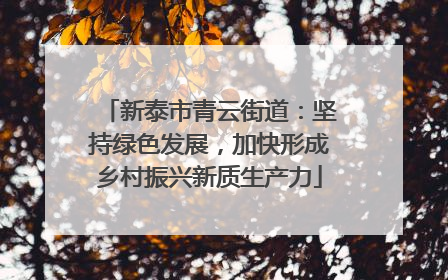 新泰市青云街道：坚持绿色发展，加快形成乡村振兴新质生产力