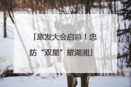 旅发大会启幕！忠防“双星”耀湖湘