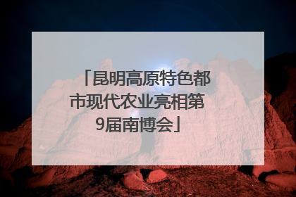 昆明高原特色都市现代农业亮相第9届南博会