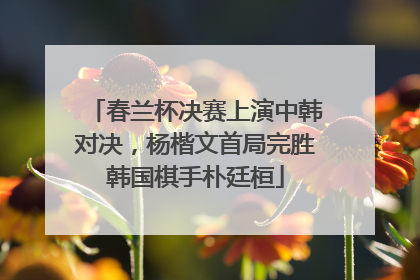 春兰杯决赛上演中韩对决，杨楷文首局完胜韩国棋手朴廷桓