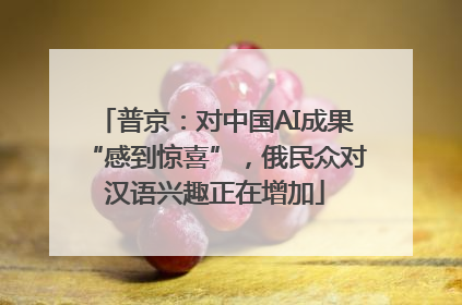 普京：对中国AI成果“感到惊喜”，俄民众对汉语兴趣正在增加