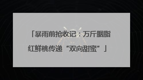 暴雨前抢收记：万斤胭脂红鲜桃传递“双向甜蜜”
