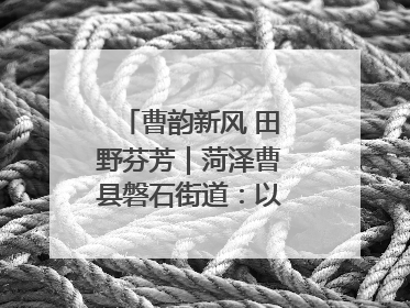 曹韵新风 田野芬芳｜菏泽曹县磐石街道：以歌为媒 唱响乡土“新歌声”