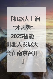 机器人上演“才艺秀” 2025智能机器人发展大会在南京召开