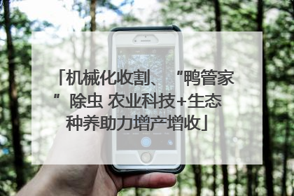 机械化收割、“鸭管家”除虫 农业科技+生态种养助力增产增收