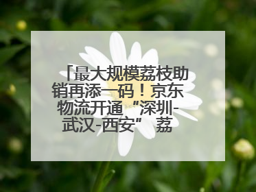 最大规模荔枝助销再添一码！京东物流开通“深圳-武汉-西安” 荔枝全货机航线