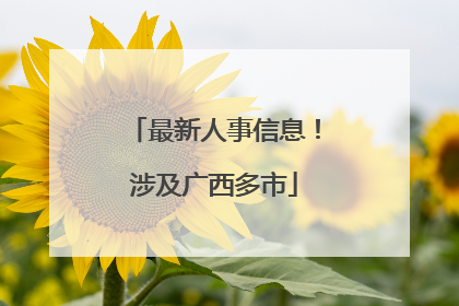 最新人事信息！涉及广西多市