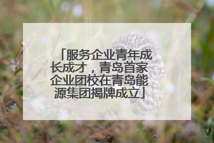 服务企业青年成长成才，青岛首家企业团校在青岛能源集团揭牌成立
